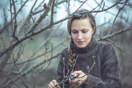 Lady pruning her tree