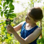 Young lady inspecting a tree branch