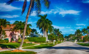 Beautiful palm tree-lined street in Florida