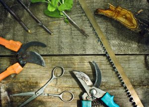 Set of summer garden tools